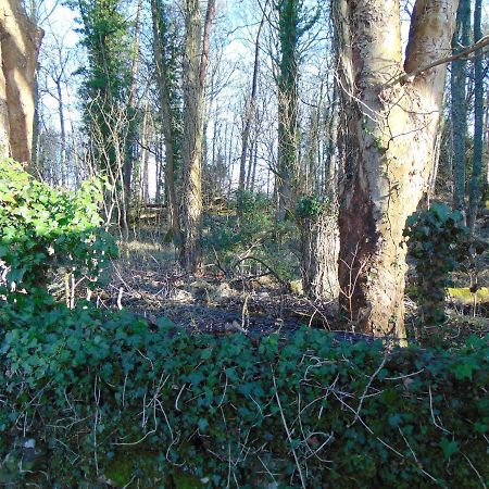 Dreamwood Cottage, Loch Lomond, Luxury Apartment. Glasgow Exteriör bild