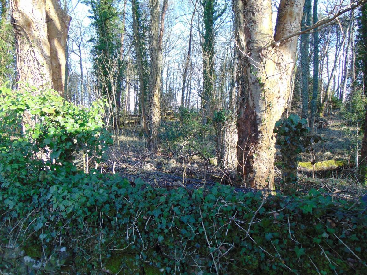 Dreamwood Cottage, Loch Lomond, Luxury Apartment. Glasgow Exteriör bild