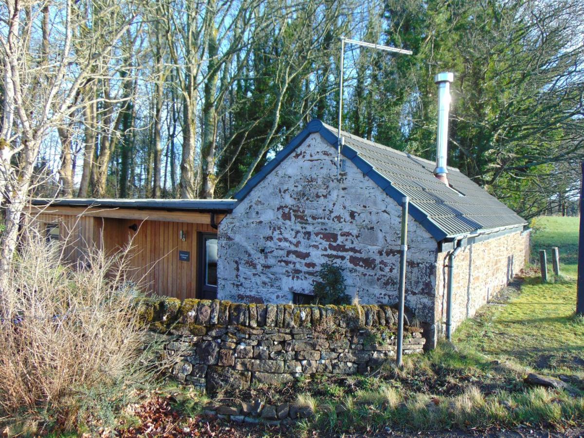 Dreamwood Cottage, Loch Lomond, Luxury Apartment. Glasgow Exteriör bild