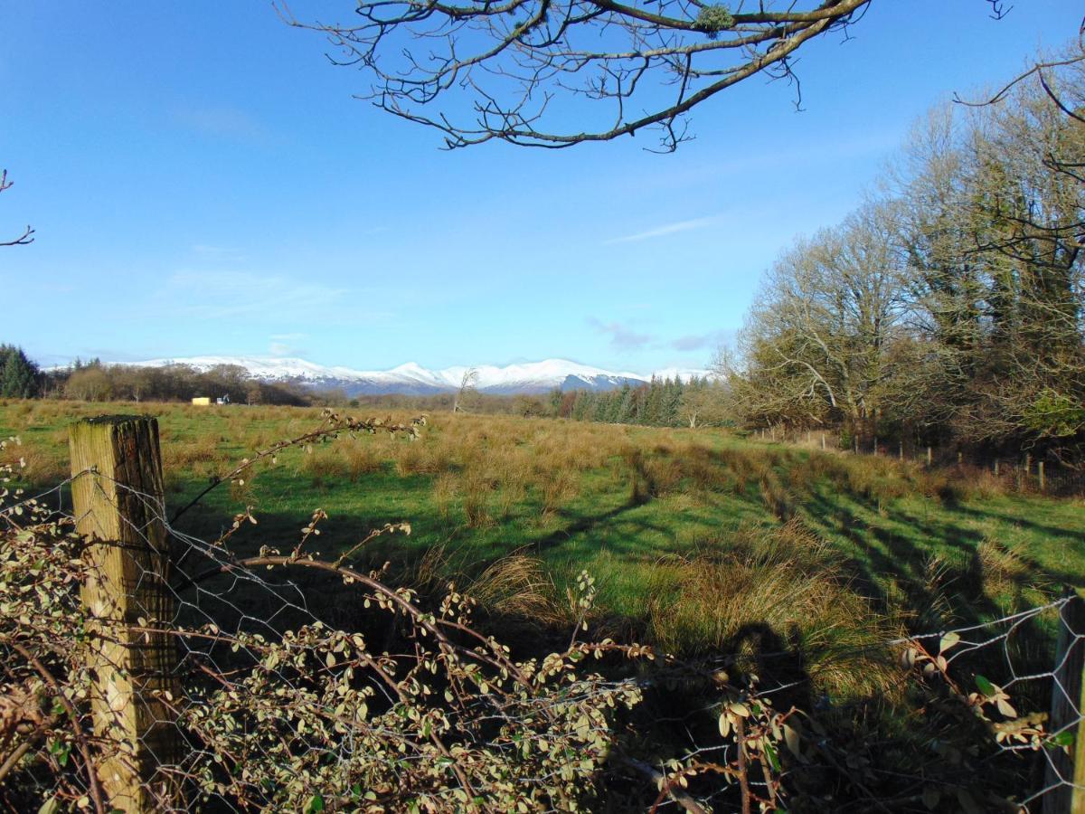 Dreamwood Cottage, Loch Lomond, Luxury Apartment. Glasgow Exteriör bild