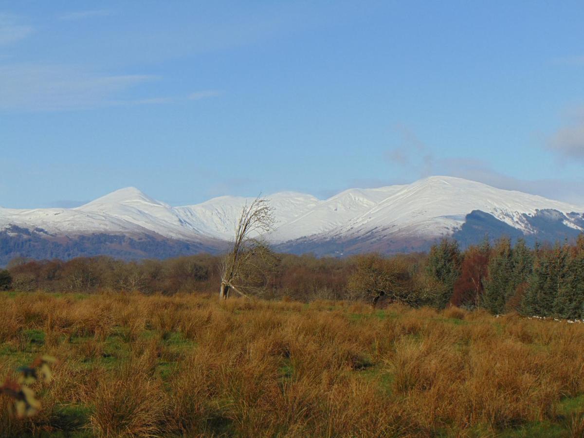 Dreamwood Cottage, Loch Lomond, Luxury Apartment. Glasgow Exteriör bild